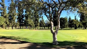 February Troon Card Offer: Receive a complimentary small bucket of balls with your round at Alhambra Golf Course!