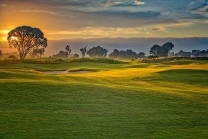 A golf course with trees and a sunset in the background.
