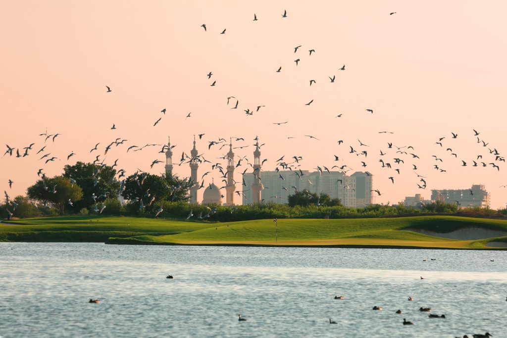Migratory Birds at Al Zorah Golf Club