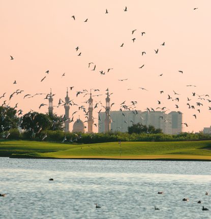 Migratory Birds at Al Zorah Golf Club