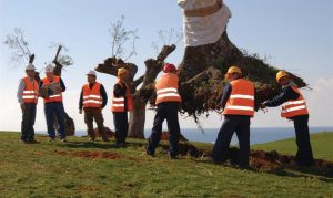 Costa Navarino Planting a Tree