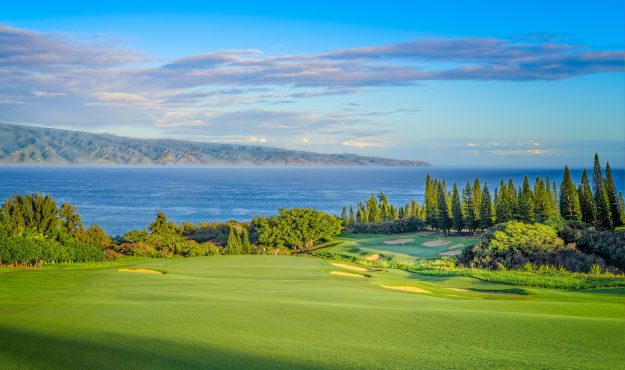 Troon's golf course agronomy services keeps Kapalua in top form.