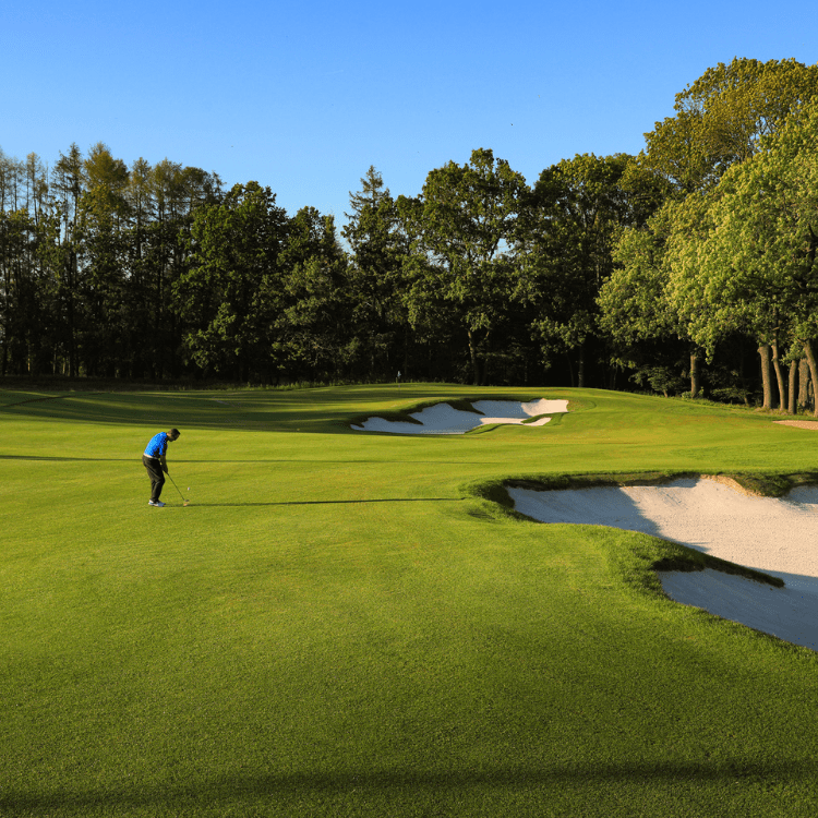 Golfer at PGA National Czech Republic