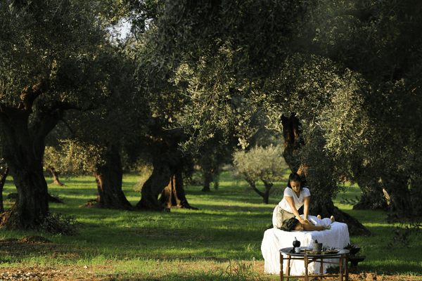 Massage amongst the Olive Grove at the Anzoe Spa at Costa Navarino