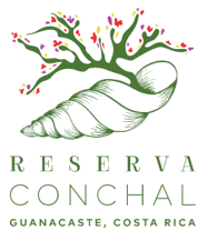 Reserva Conchal Club